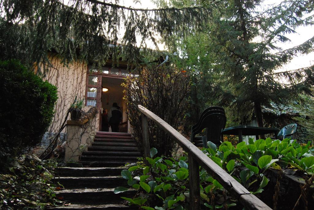 Boroka Apartmanhazak - Oereghaz Velem Pokój zdjęcie