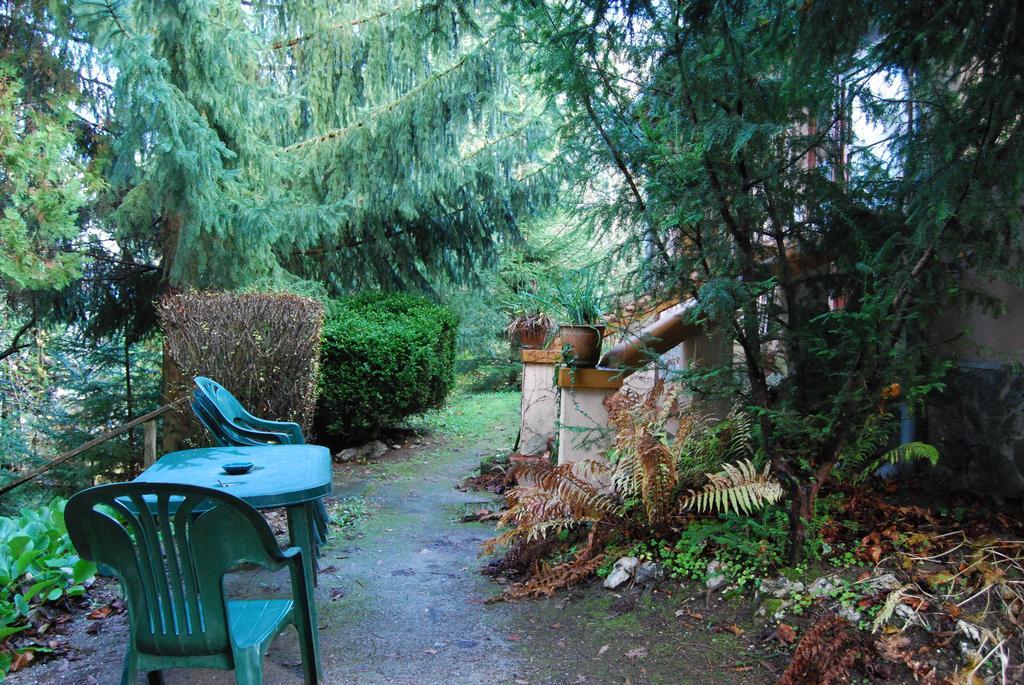Boroka Apartmanhazak - Oereghaz Velem Pokój zdjęcie