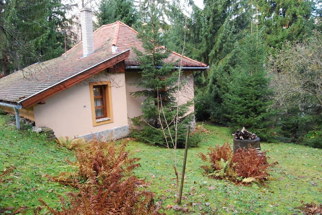Boroka Apartmanhazak - Oereghaz Velem Pokój zdjęcie